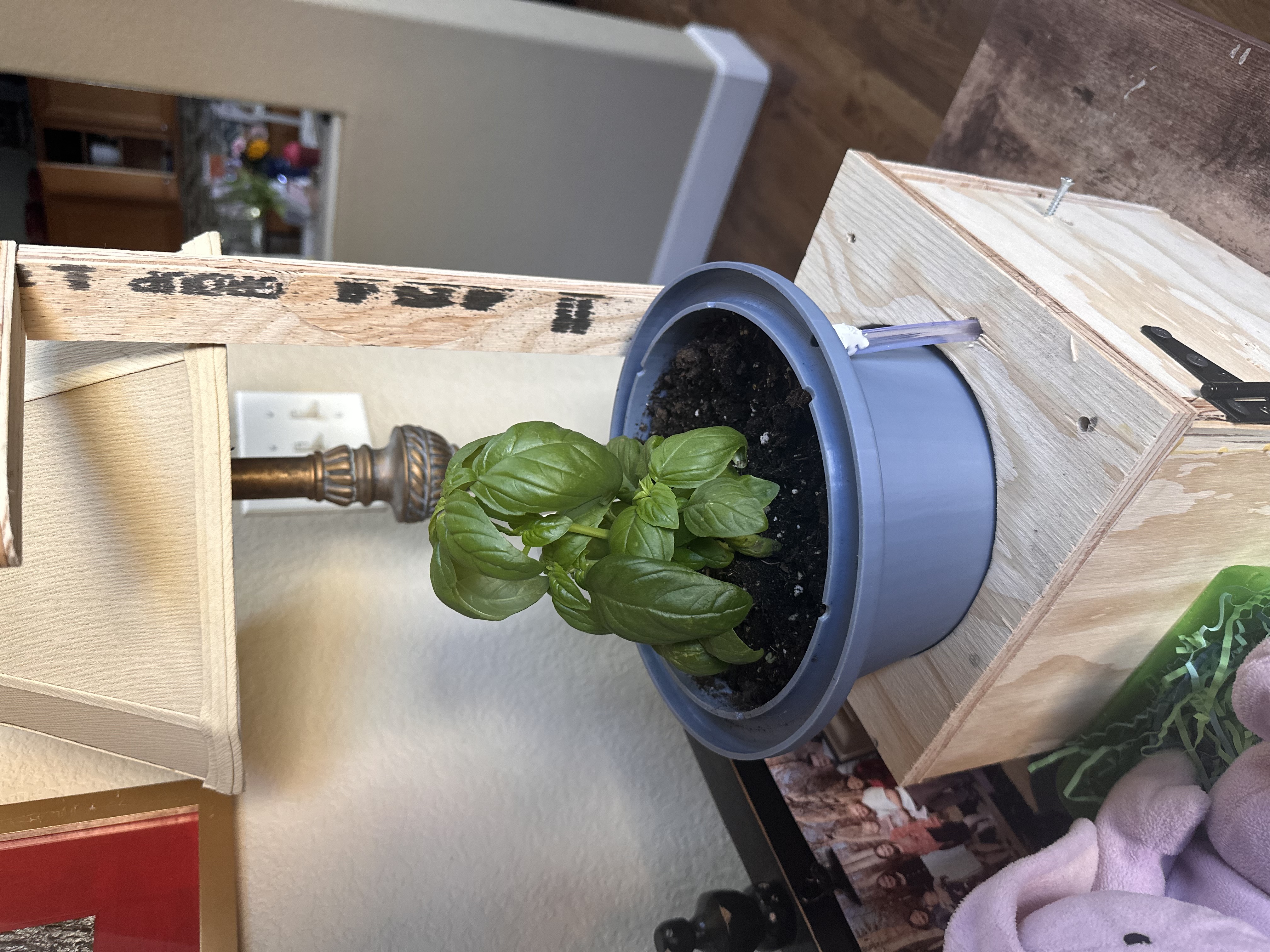 Decorative Planter final result 1